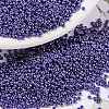 MIYUKI Round Rocailles Beads SEED-X0056-RR0434-1