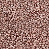11/0 FGB Grade A Dyed Glass Seed Beads X-SEED-N001-C-0562-2
