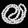 Opaque Electroplate Glass Beads Strands EGLA-N007-002-B06-2