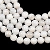 Round Grade A Natural Rainbow Moonstone Bead Strands G-M304-06-8.5mm-5