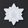 Snowflake with Snowman Pendant Silicone Molds DIY-K051-29-2
