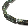 Natural African Turquoise(Jasper) Beads Strands G-F729-01-4