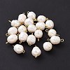 Grade B Natural Cultured Freshwater Pearl Connector Charms PALLOY-JF01496-02-1