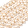 Natural Cultured Freshwater Pearl Beads Strands PEAR-I007-04G-01A-2