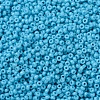 MIYUKI Round Rocailles Beads X-SEED-G007-RR4478-3
