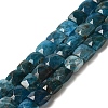 Natural Apatite Beads Strands G-C109-A13-02-1