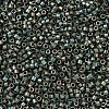 MIYUKI Delica Beads Small SEED-X0054-DBS0324-3