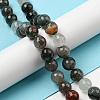 Natural Afican Bloodstone Beads Strands G-C079-B02-02-2