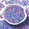 Baking Paint Glass Seed Beads SEED-P006-03A-19-2