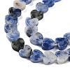 Natural Blue Spot Jasper Beads Strands G-M403-A21-02-4