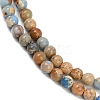 Dyed Natural Regalite/Imperial Jasper/Sea Sediment Jasper Beads Strands G-B124-C04-13-2