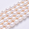 Natural Cultured Freshwater Pearl Beads Strands X-PEAR-I003-04-2