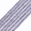 Natural Labradorite Beads Strands X-G-L581A-002-1