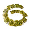 Dyed Natural Imperial Jasper with Resin Beads Strands G-Q017--E05-01B-3