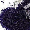 TOHO 15/0 Round Beads X-SEED-TR15-0008DF-1