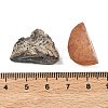 Natural Geode Agate Druzy Agate Display Decorations DJEW-I014-01A-01-4