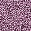 6/0 Glass Seed Beads X1-SEED-L011-08A-29-3