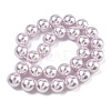 Electroplated Shell Pearl Beads Strands BSHE-G041-14mm-06-4