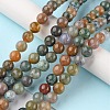 Natural Indian Agate Beads Strands G-G0003-C04-2