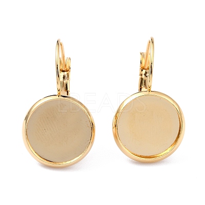 304 Stainless Steel Leverback Earring Settings STAS-F191-03G-14mm-1