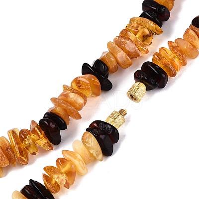 Natural Amber Chip Beaded Necklaces NJEW-N064-07-1