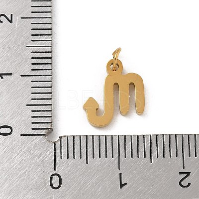 304 Stainless Steel Charms LS-STAS-R001-04G-08-1