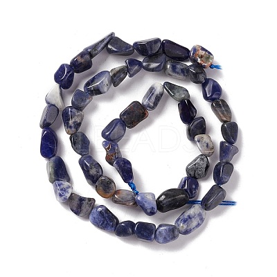 Natural Sodalite Beads Strands G-E115-01-1