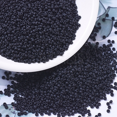 MIYUKI Round Rocailles Beads SEED-G007-RR0401F-1