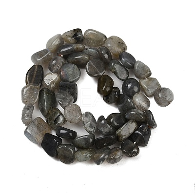 Natural Labradorite Beads Strands G-Q060-E20-02-1
