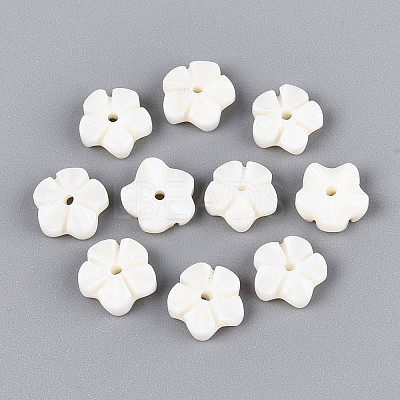 Natural Freshwater Shell Carved Beads SHEL-N038-36-1