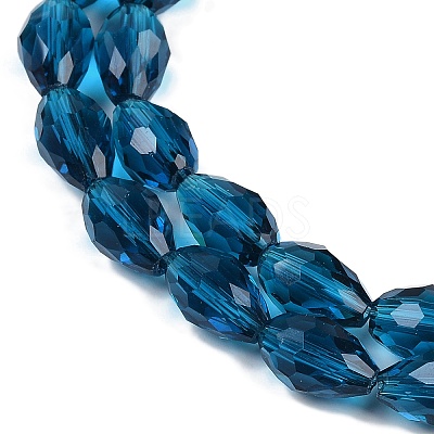 Transparent Glass Beads Strands EGLA-N013-T10mm-D25-1