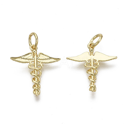 Brass Pendants KK-R133-053G-NF-1