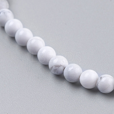 Natural Howlite Beads Strands X-TURQ-G091-4mm-1