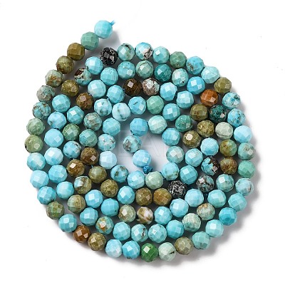 Natural Howlite Beads Strands G-C025-02B-06-1