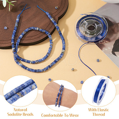 1 Strand Natural Sodalite Beads Strands G-TA0002-93-1