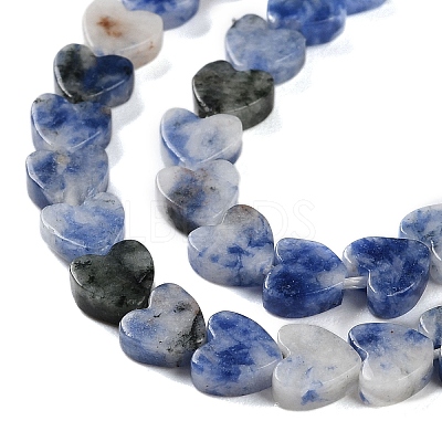 Natural Blue Spot Jasper Beads Strands G-M403-A21-02-1