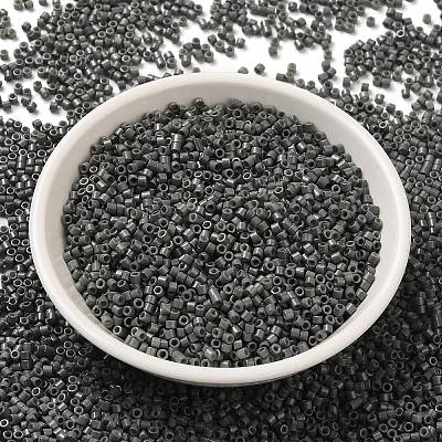 Baking Paint Glass Seed Beads X-SEED-S042-05B-42-1