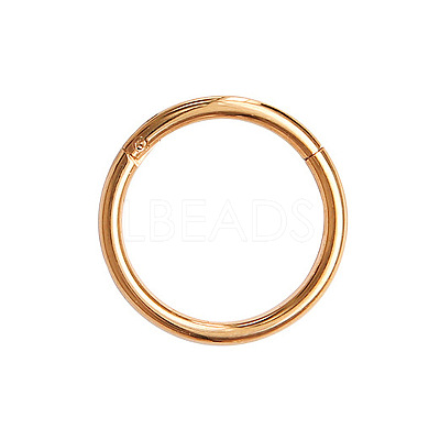 316L Surgical Stainless Steel Hoop Cartilage Earrings WGB51CA-69-1