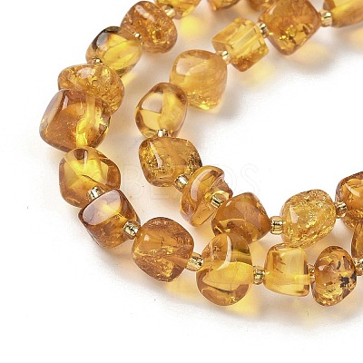 Natural Amber Beads Strands G-L095-E01-07-1