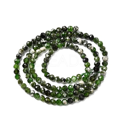 Natural Diopside Beads Strands G-G188-B14-03-1