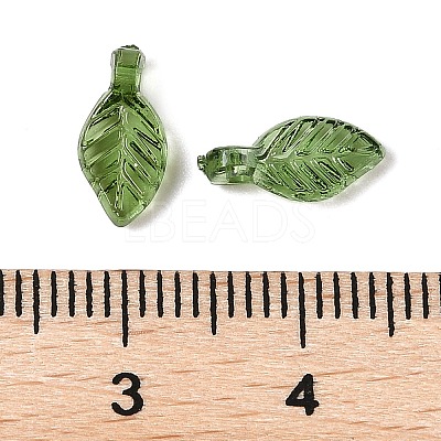 Transparent Acrylic Charms TACR-F009-11D-1