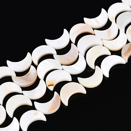 Natural Freshwater Shell Beads Strands SHEL-Q024-015B-01-1