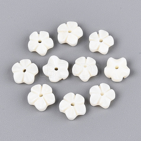 Natural Freshwater Shell Carved Beads SHEL-N038-36-1