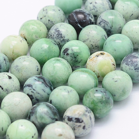 Natural Green Grass Jasper Beads Strands G-J373-03-9.5mm-1