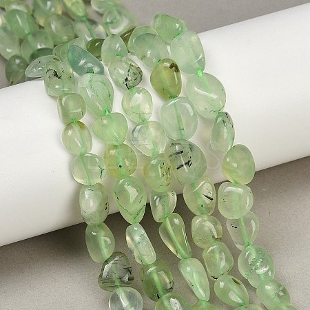 Natural Prehnite Beads Strands G-R445-8x10-25-01-1