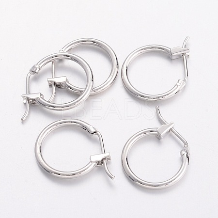 Brass Hoop Earrings LS-X-EC261-NF-1