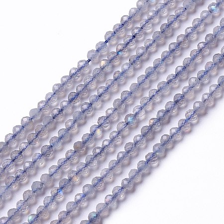 Natural Labradorite Beads Strands X-G-L581A-002-1