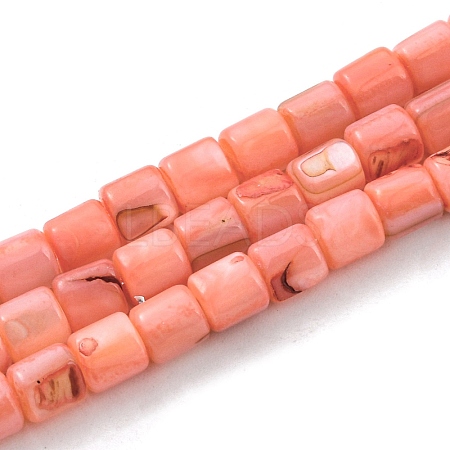 Natural Freshwater Shell Beads Strands SHEL-F008-04F-1