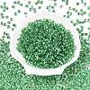 6/0 Baking Paint Transparent Fringe Glass Seed Beads X1-SEED-N006-06K-2