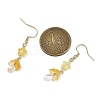 Star & Mushroom Glass Dangle Earrings EJEW-JE06175-4